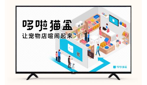 哆啦貓盒 寵物店電視可以像廣告機一樣發布廣告嗎